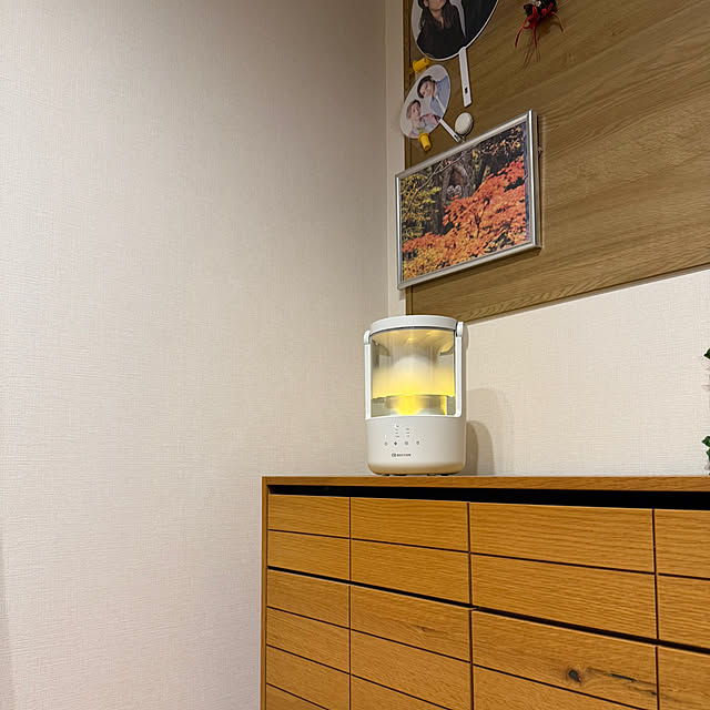 k_dinoさんの実例写真