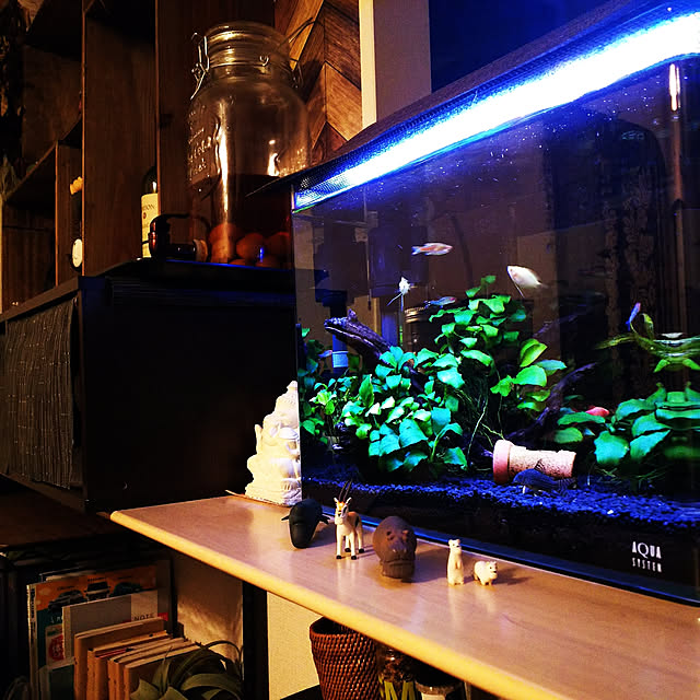 anago106さんの実例写真