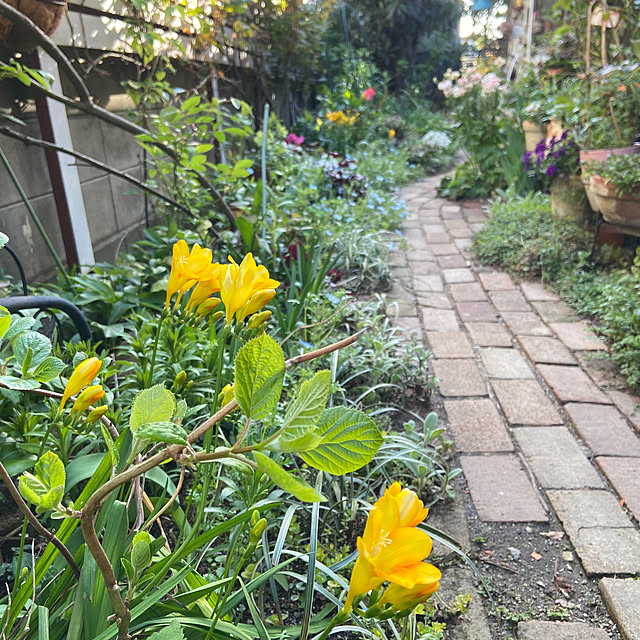 na-chanさんの部屋
