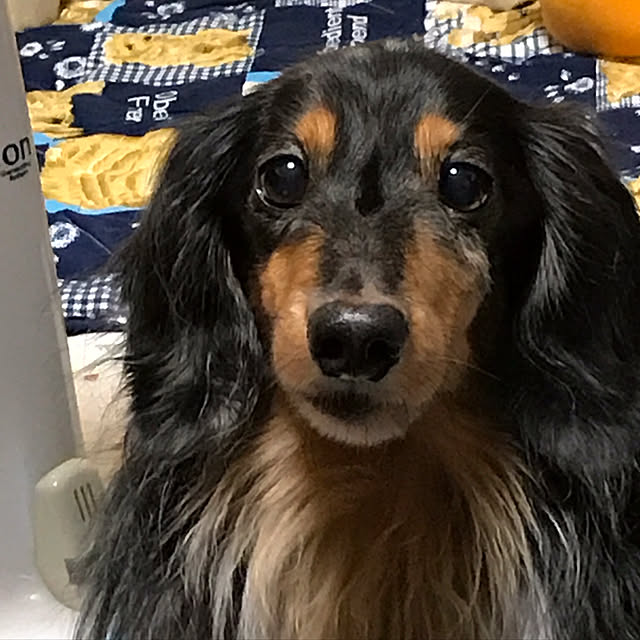 max.rayさんの実例写真