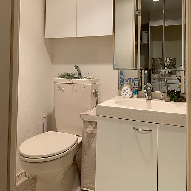ニトリ/無印良品/バス/トイレのインテリア実例 - 2019-03-21 17:01:25