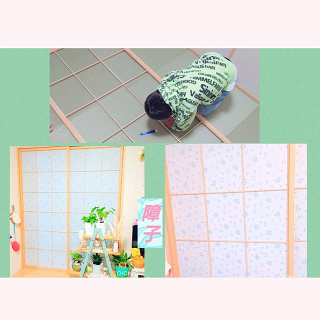 Miyumamaさんの実例写真
