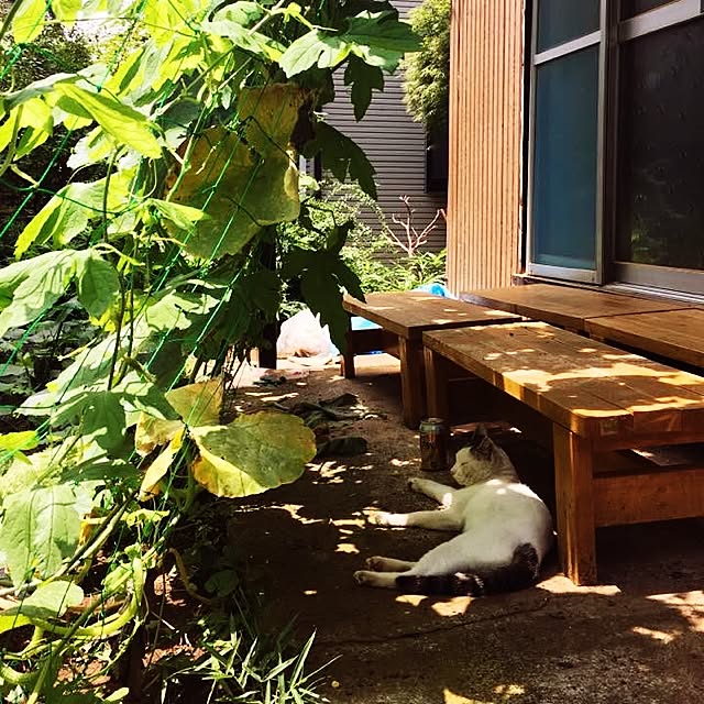 KentaYahagiさんの実例写真