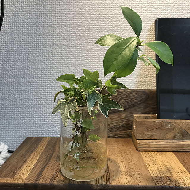 923さんの実例写真