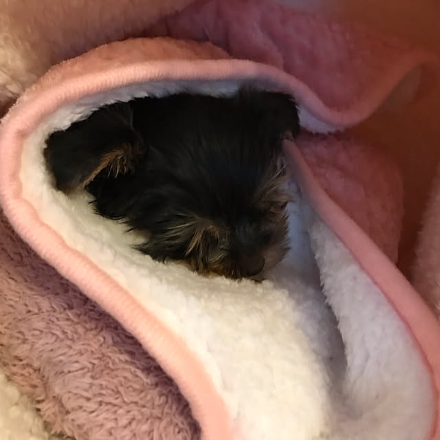 marikoさんの実例写真