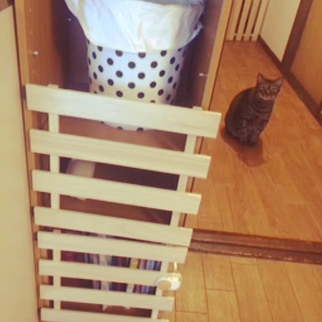 yyymmmさんの実例写真