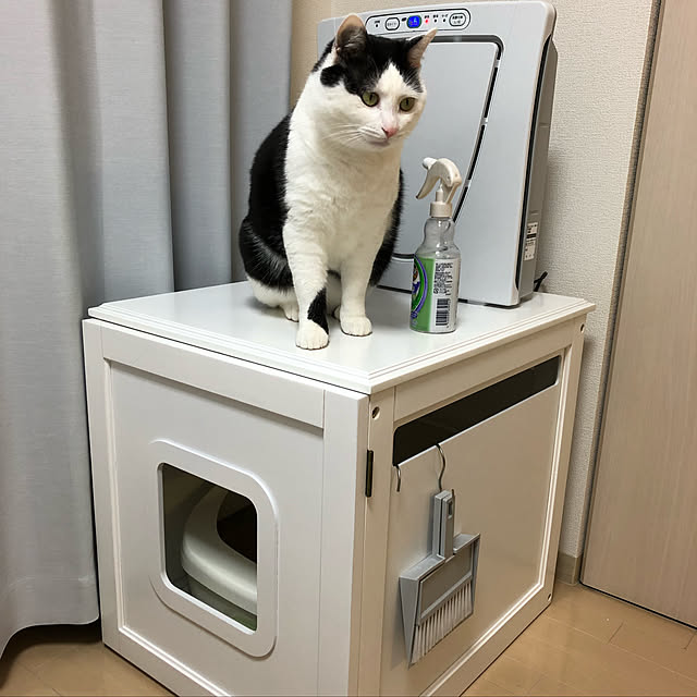 k.Iさんの実例写真