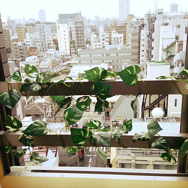 tukudaniさんの実例写真
