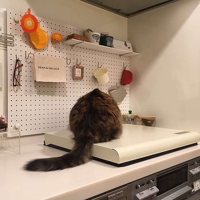 mikomaruさんの実例写真