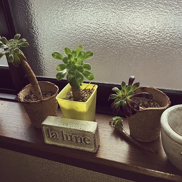 Norikoさんの実例写真