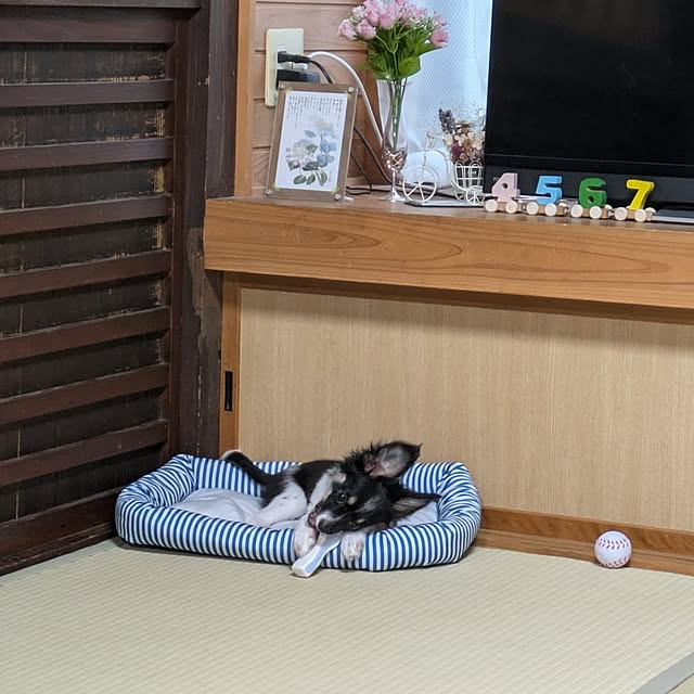 kuririnmamaさんの実例写真