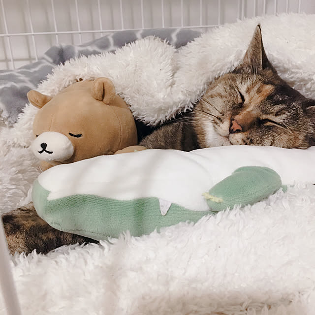 oasisさんの実例写真