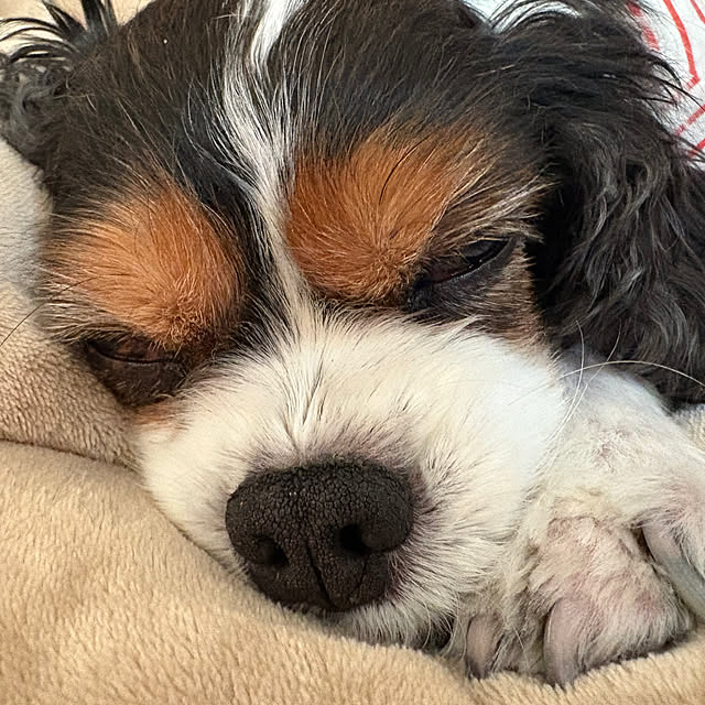 you.sansさんの部屋