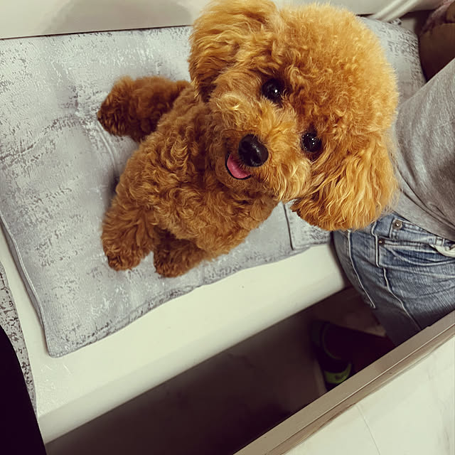 makiさんの実例写真
