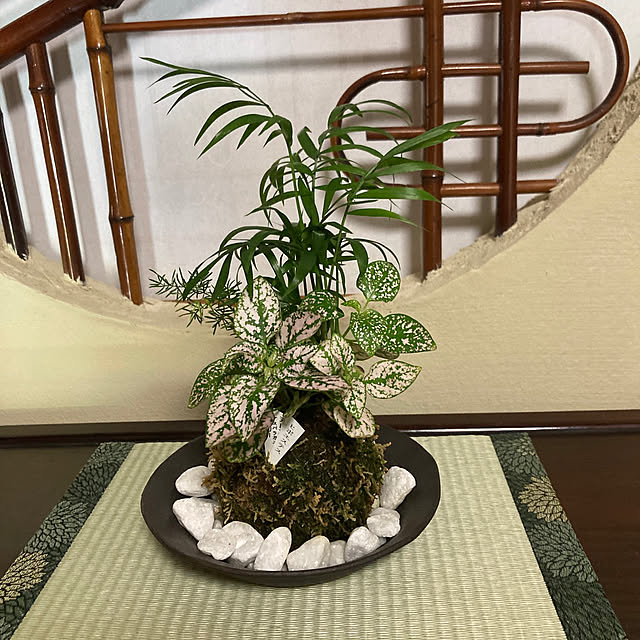 yubabaさんの実例写真