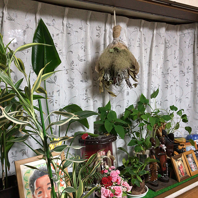 実例写真