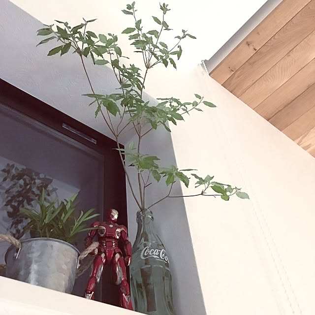Noboさんの実例写真