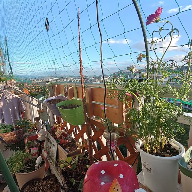 mariaさんの部屋