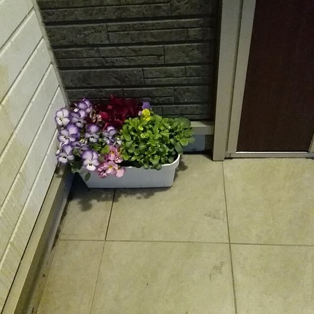 Lovelyさんの実例写真