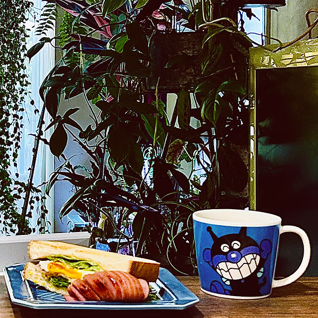 DAYONEさんの実例写真