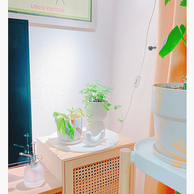 yuyuさんの実例写真