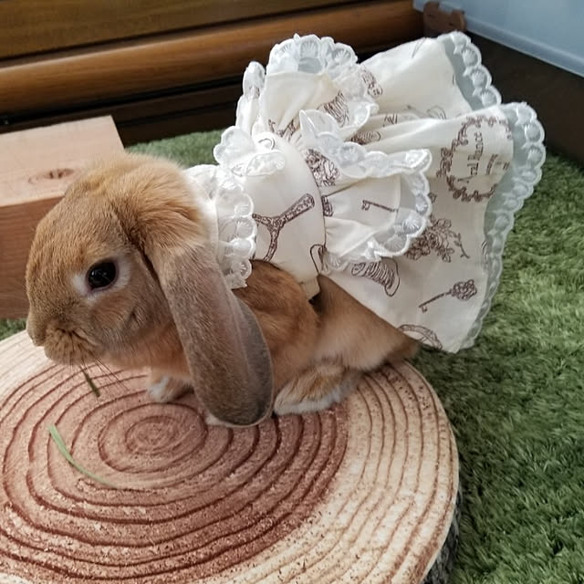 kominka_Lifeさんの実例写真