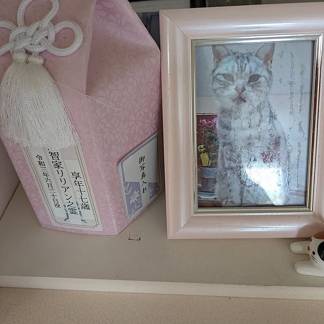 machikomamaさんの部屋