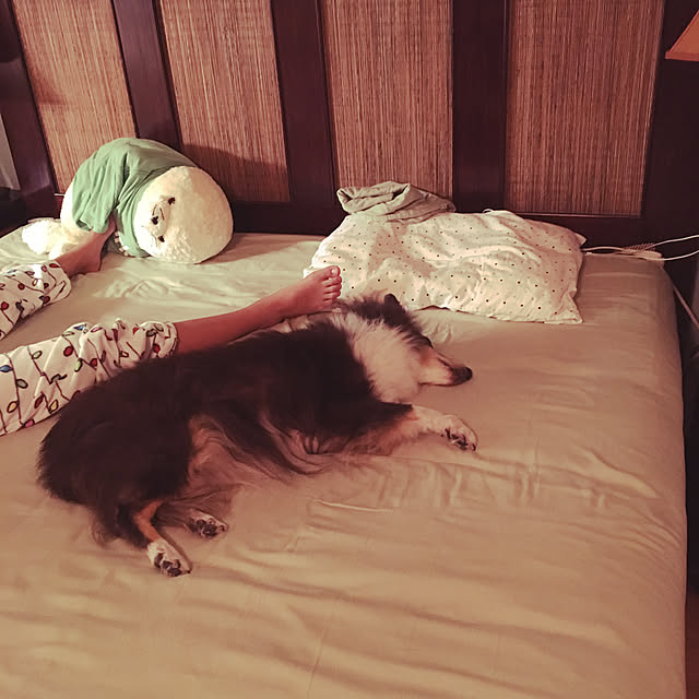 shinobuさんの実例写真