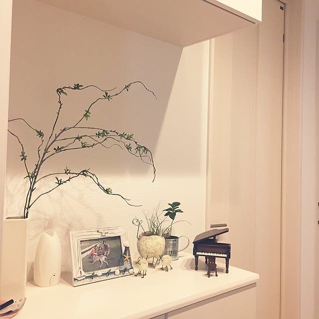 comoさんの実例写真