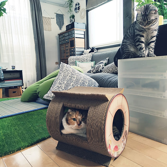 hiro3さんの実例写真