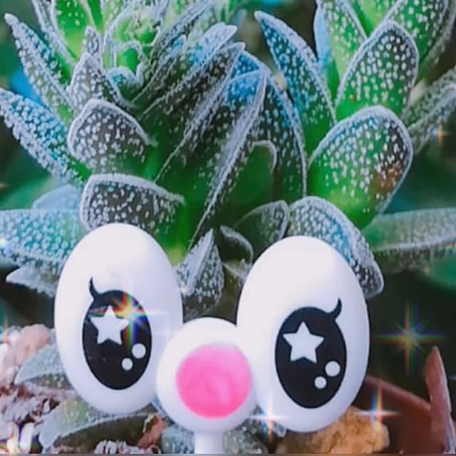 Hanakaさんの部屋
