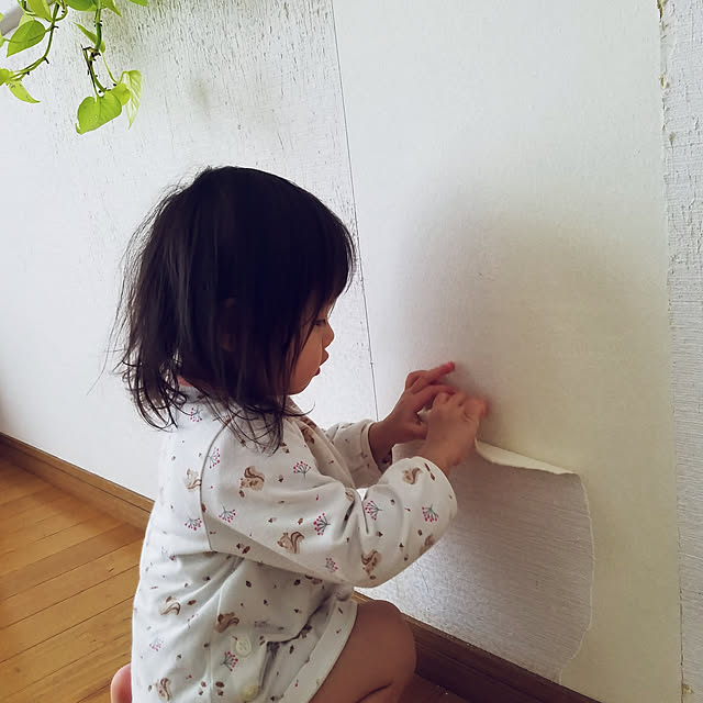 Kinanさんの実例写真