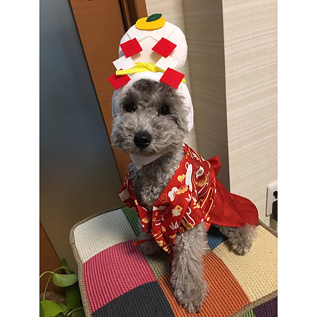 meguko.ryanさんの実例写真