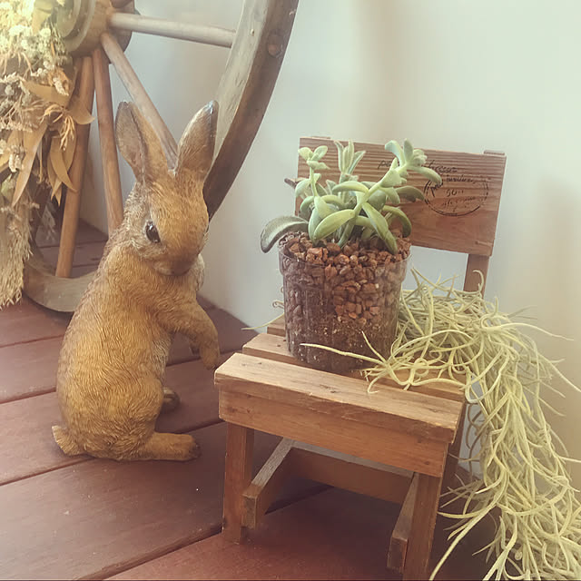 machaさんの実例写真