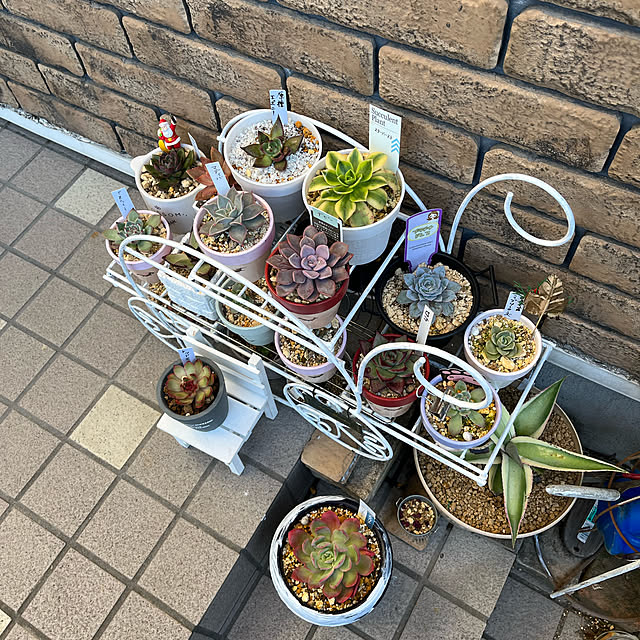 実例写真