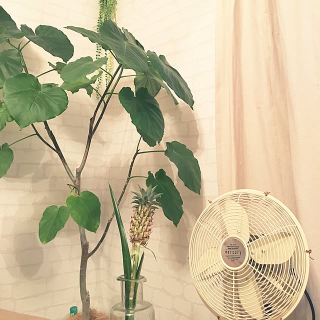 tomoさんの実例写真