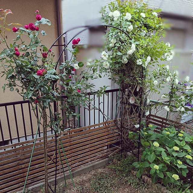 mofukoさんの実例写真
