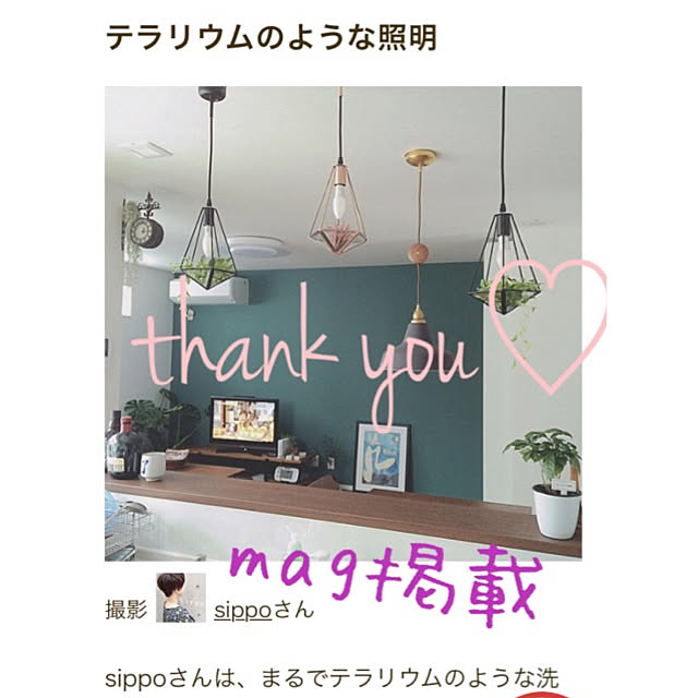 sippoさんの実例写真