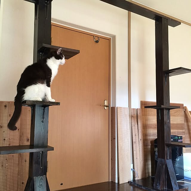 mika.888さんの実例写真