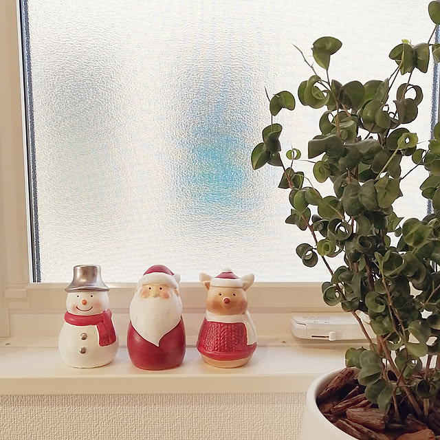 ishicoroさんの実例写真