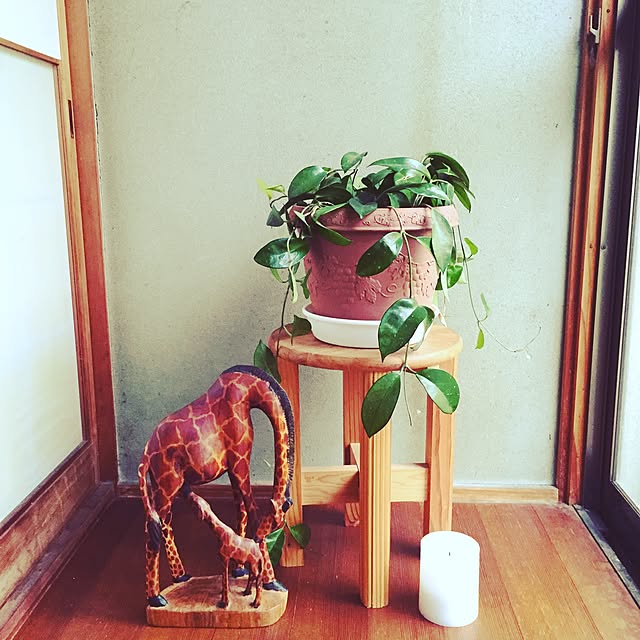 kona2さんの実例写真
