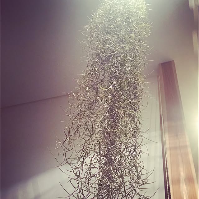 KXYXTさんの実例写真