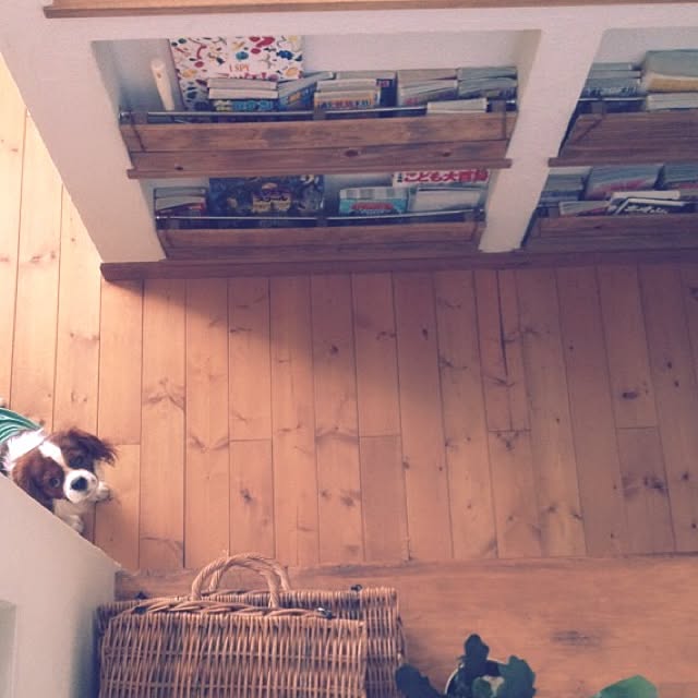 miyaさんの実例写真