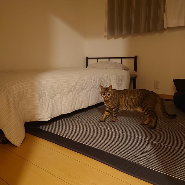 sunflower07さんの部屋