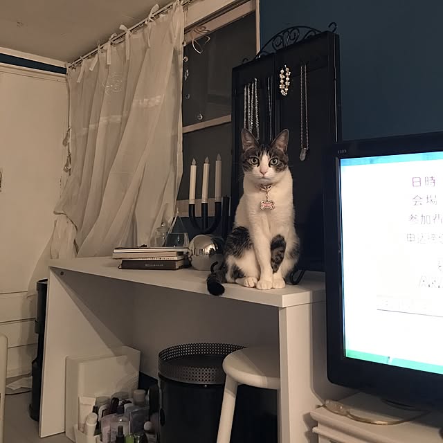 Shihoさんの実例写真