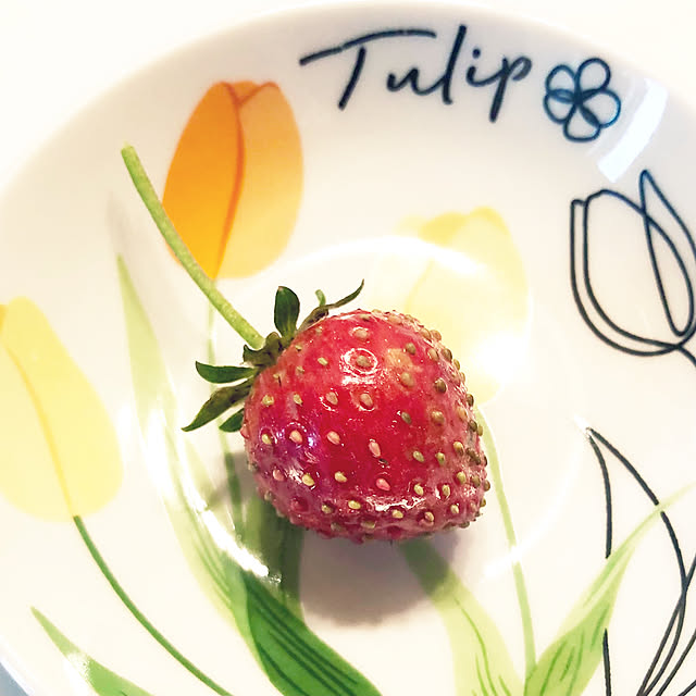 tomoさんの部屋
