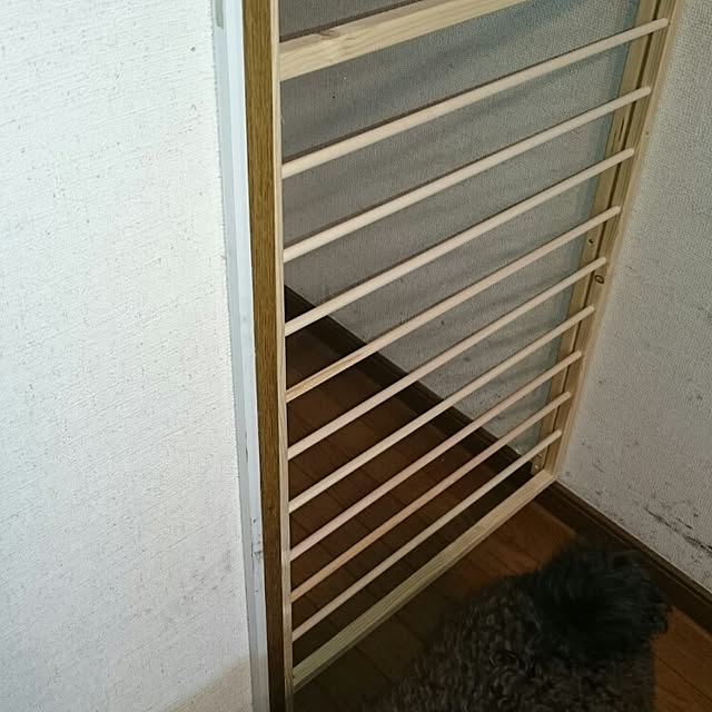 Kojiさんの実例写真
