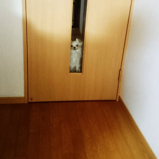 yukaさんの実例写真