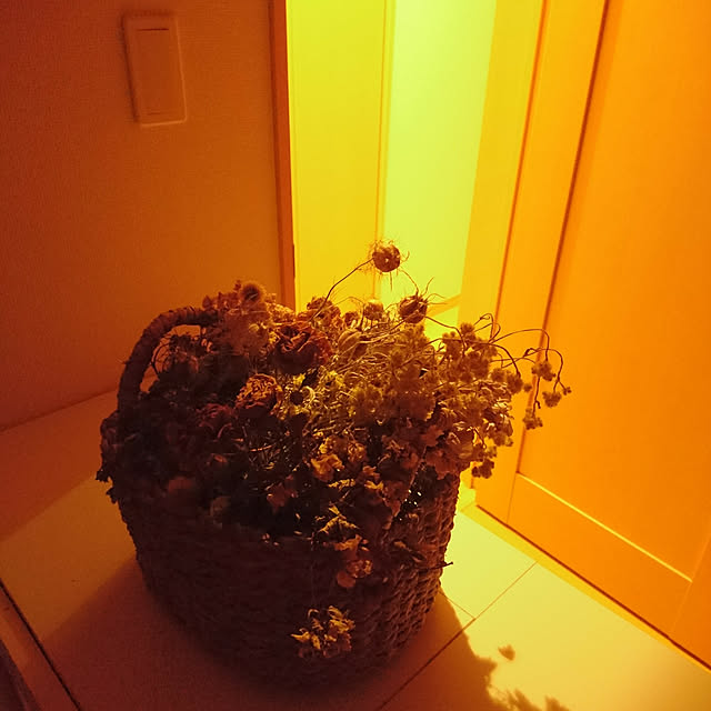 moku2さんの実例写真