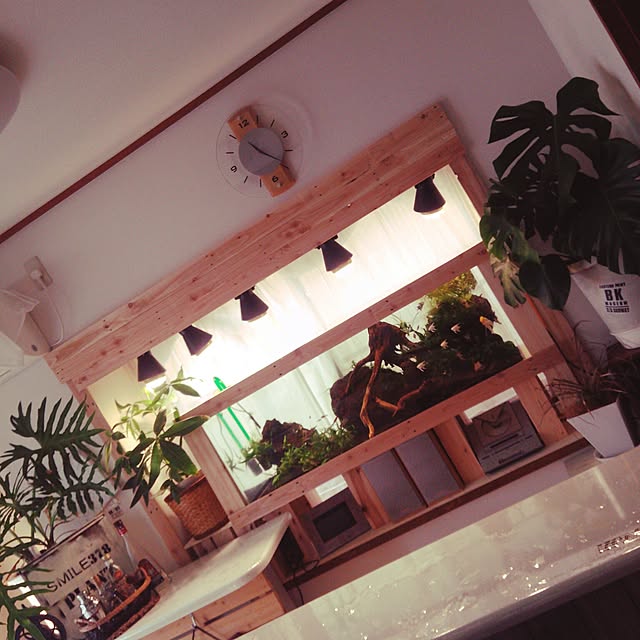 shs1019shsさんの実例写真